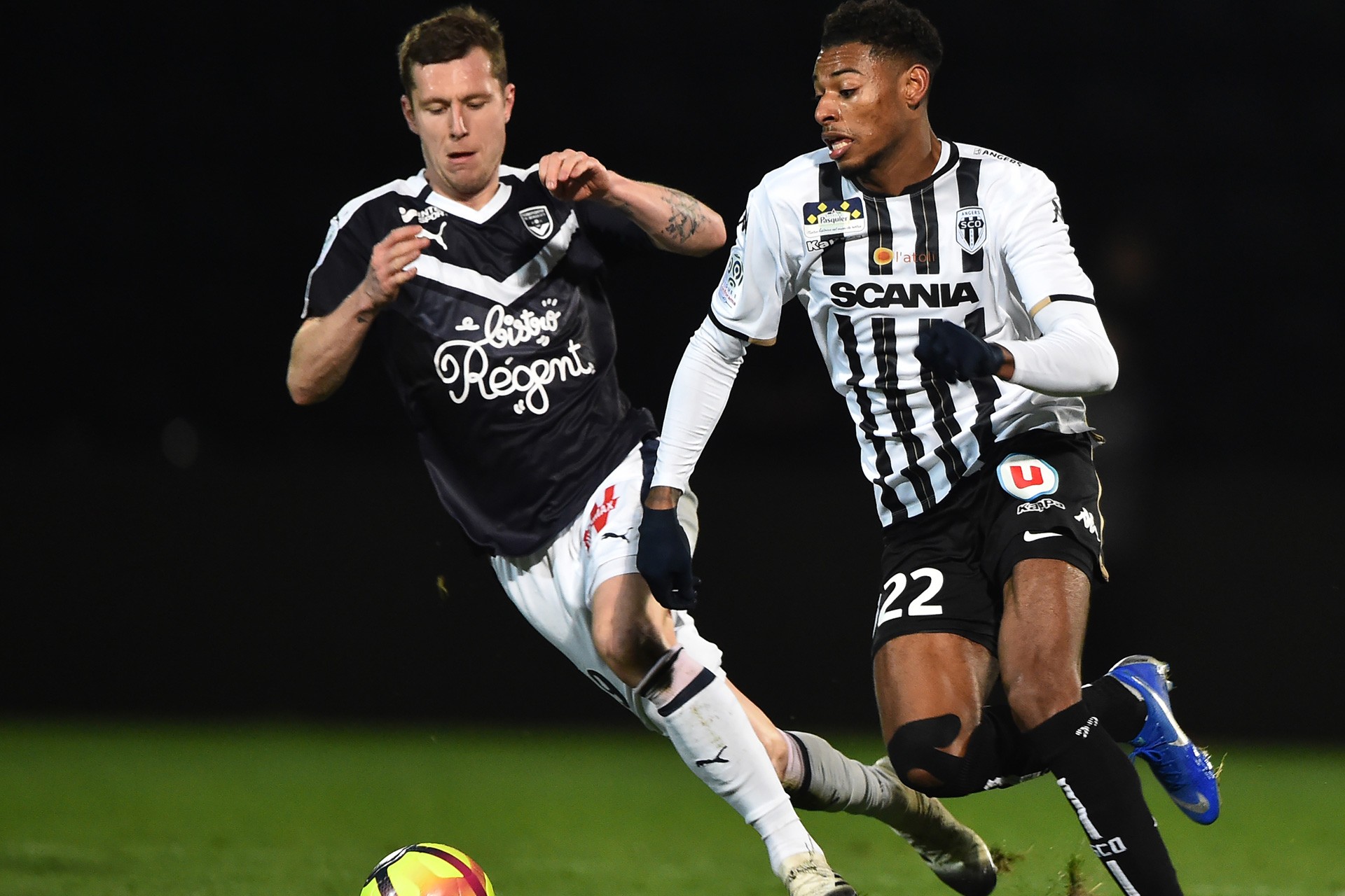 除虫灭鼠资质证书